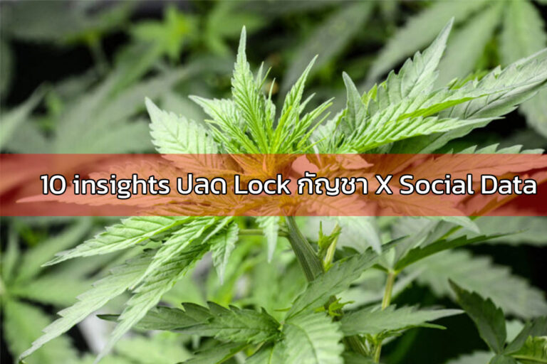 Case Study ปลด Lock กัญชา มาดู 10 Insight ในโลก Social Data ว่ามีอะไรซ่อนอยู่