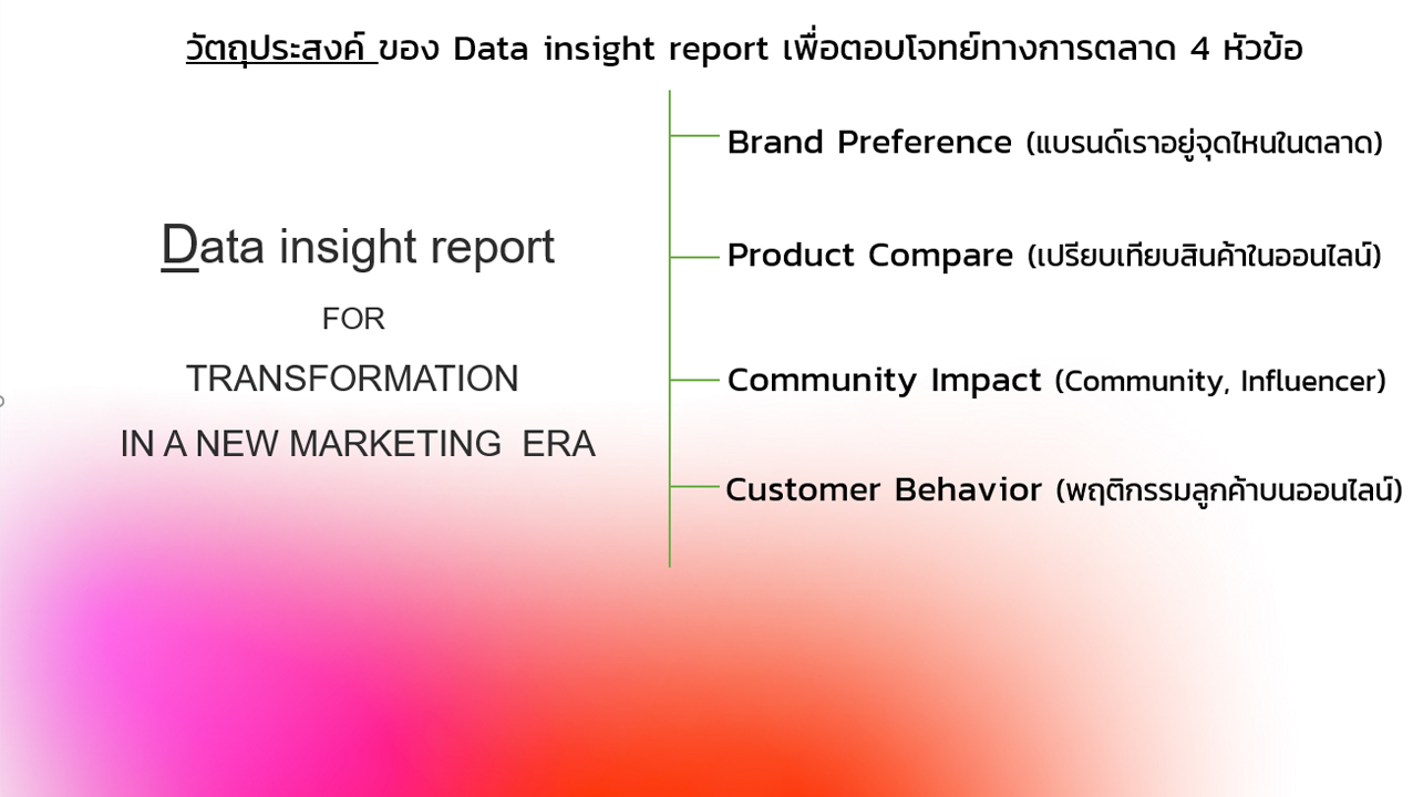 Data Report Insight