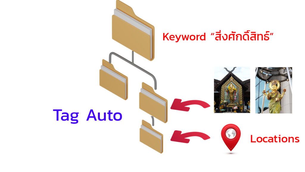 สร้าง Tag Auto จาก Zocial Eye