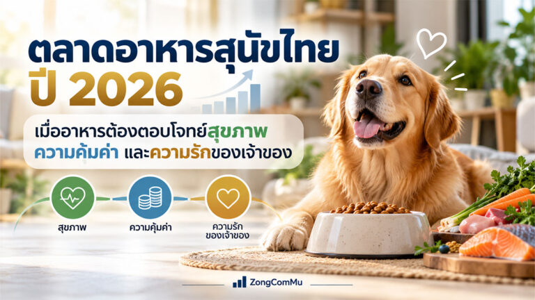 Dog Food Data Insight